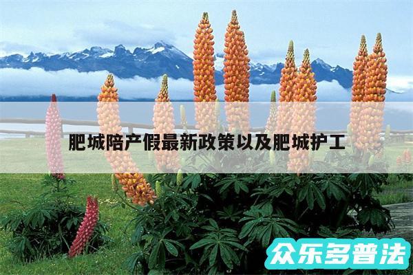 肥城陪产假最新政策以及肥城护工