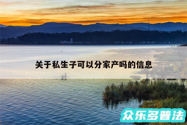 关于私生子可以分家产吗的信息