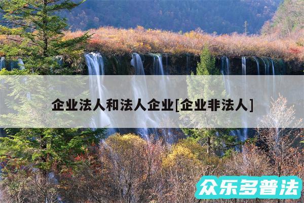 企业法人和法人企业及企业非法人