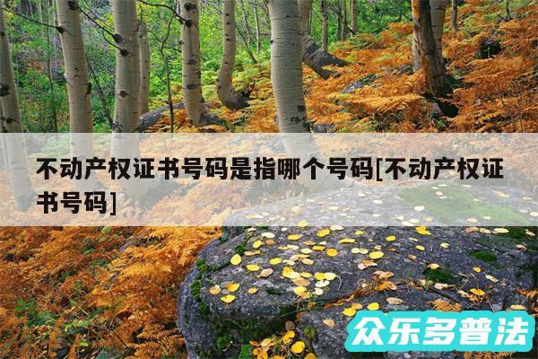 不动产权证书号码是指哪个号码及不动产权证书号码