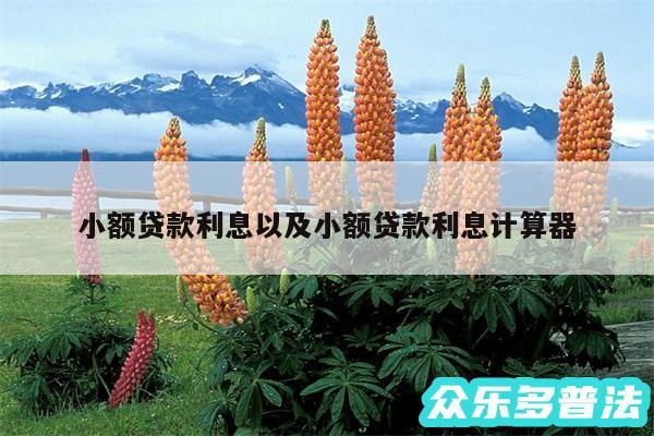 小额贷款利息以及小额贷款利息计算器