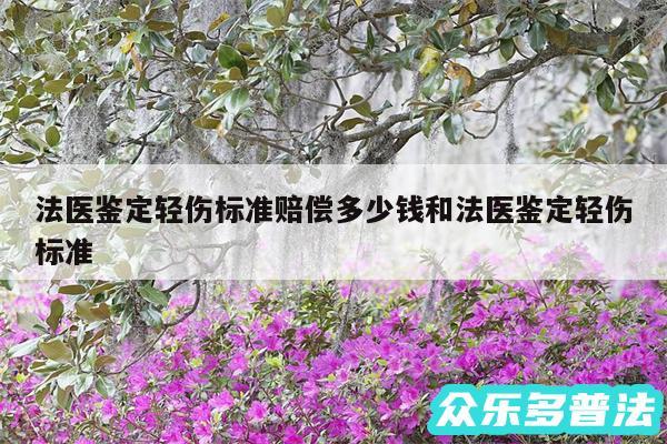 法医鉴定轻伤标准赔偿多少钱和法医鉴定轻伤标准
