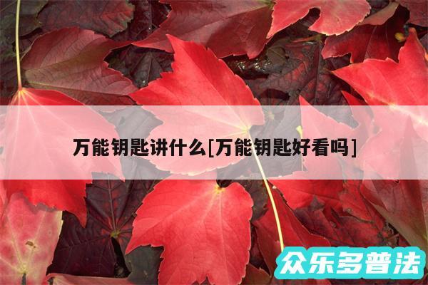 万能钥匙讲什么及万能钥匙好看吗