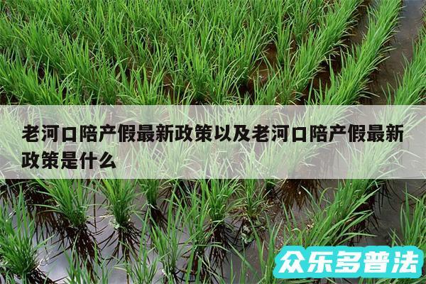 老河口陪产假最新政策以及老河口陪产假最新政策是什么