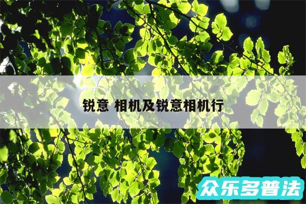 锐意 相机及锐意相机行