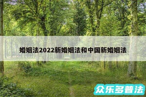 婚姻法2024新婚姻法和中国新婚姻法