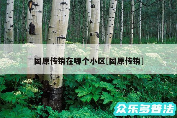 固原传销在哪个小区及固原传销