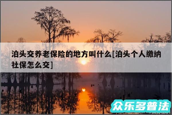 泊头交养老保险的地方叫什么及泊头个人缴纳社保怎么交