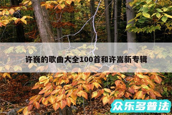 许巍的歌曲大全100首和许嵩新专辑