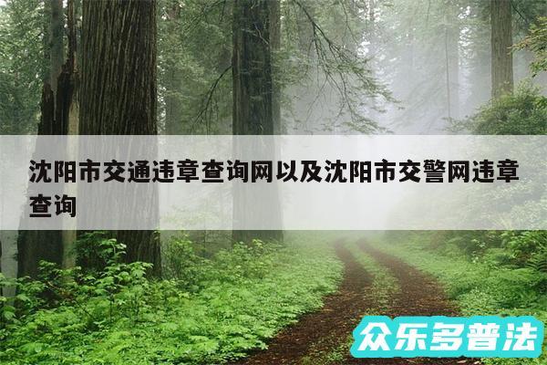 沈阳市交通违章查询网以及沈阳市交警网违章查询