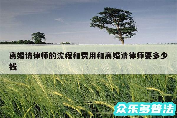 离婚请律师的流程和费用和离婚请律师要多少钱