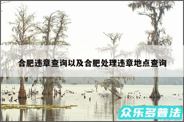 合肥违章查询以及合肥处理违章地点查询