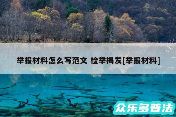 举报材料怎么写范文 检举揭发及举报材料