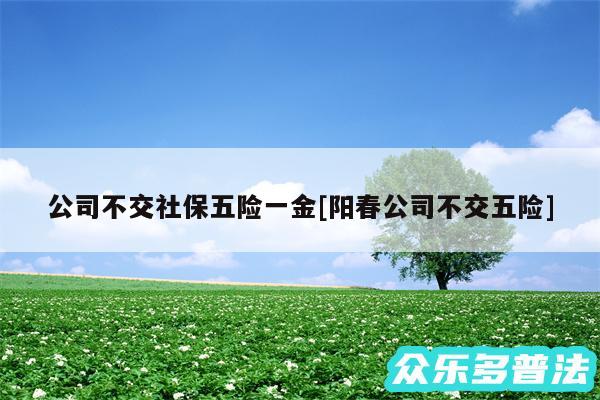 公司不交社保五险一金及阳春公司不交五险