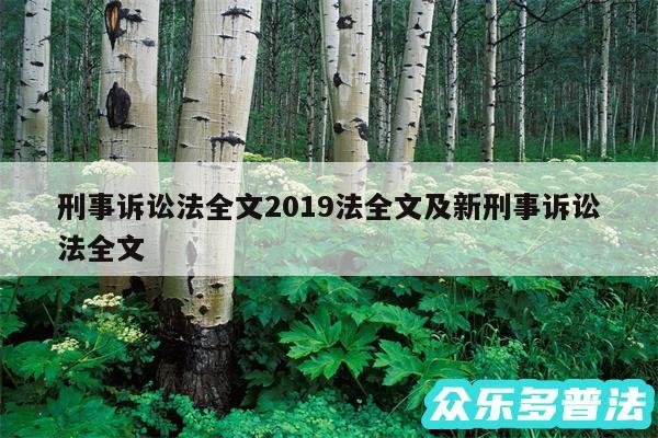 刑事诉讼法全文2019法全文及新刑事诉讼法全文