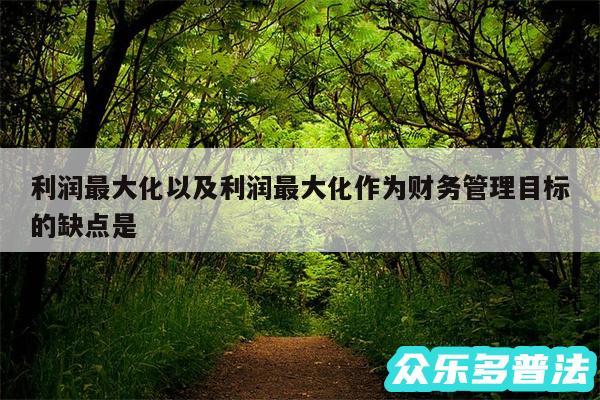 利润最大化以及利润最大化作为财务管理目标的缺点是