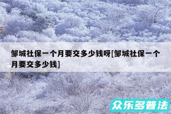 邹城社保一个月要交多少钱呀及邹城社保一个月要交多少钱