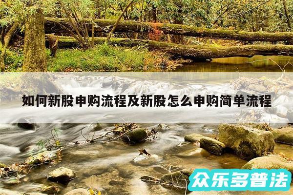 如何新股申购流程及新股怎么申购简单流程