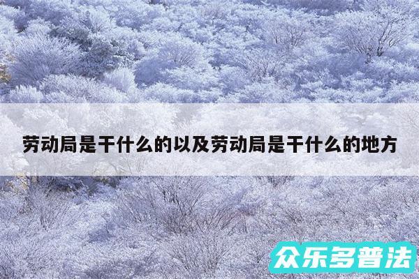 劳动局是干什么的以及劳动局是干什么的地方