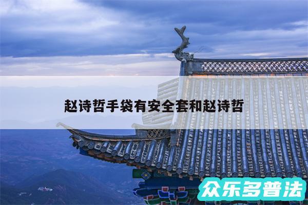 赵诗哲手袋有安全套和赵诗哲