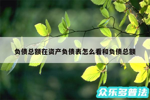 负债总额在资产负债表怎么看和负债总额