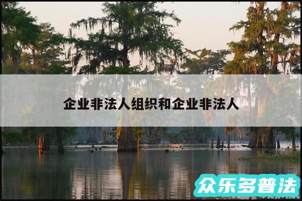 企业非法人组织和企业非法人