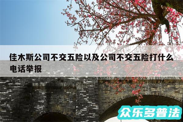 佳木斯公司不交五险以及公司不交五险打什么电话举报