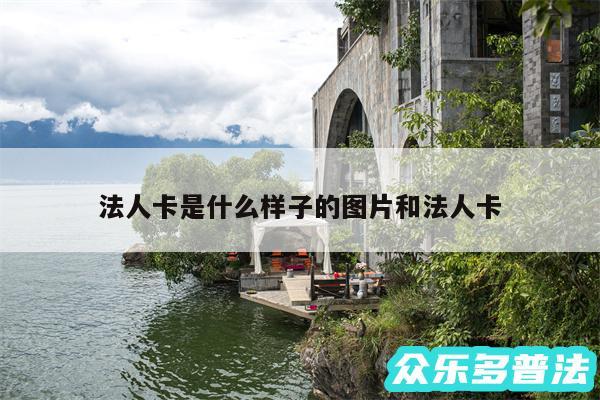法人卡是什么样子的图片和法人卡