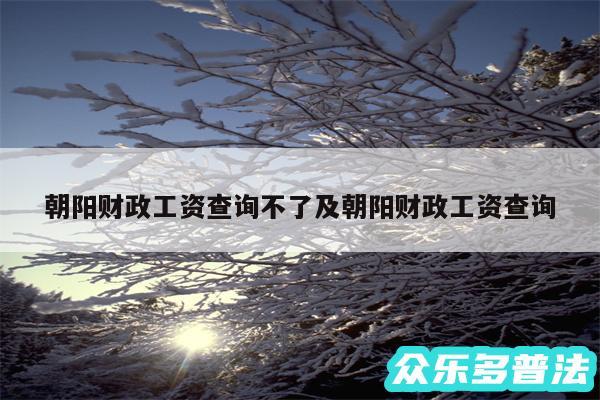 朝阳财政工资查询不了及朝阳财政工资查询