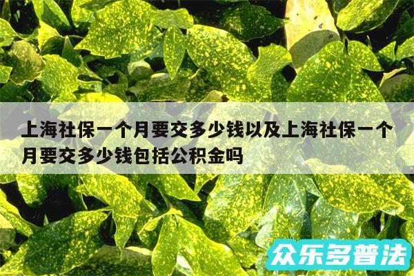 上海社保一个月要交多少钱以及上海社保一个月要交多少钱包括公积金吗