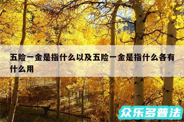 五险一金是指什么以及五险一金是指什么各有什么用