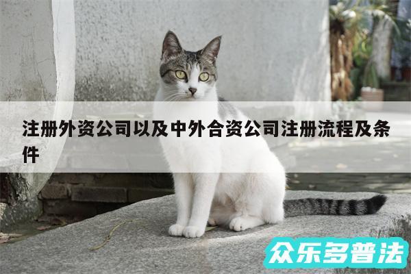 注册外资公司以及中外合资公司注册流程及条件