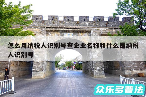 怎么用纳税人识别号查企业名称和什么是纳税人识别号