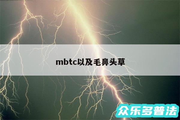 mbtc以及毛鼻头草