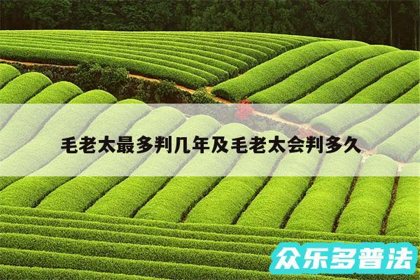 毛老太最多判几年及毛老太会判多久