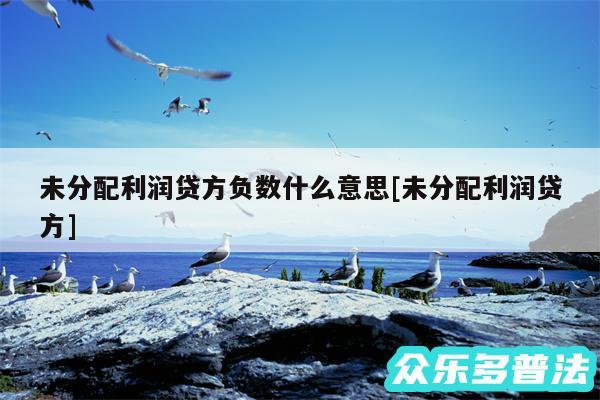 未分配利润贷方负数什么意思及未分配利润贷方