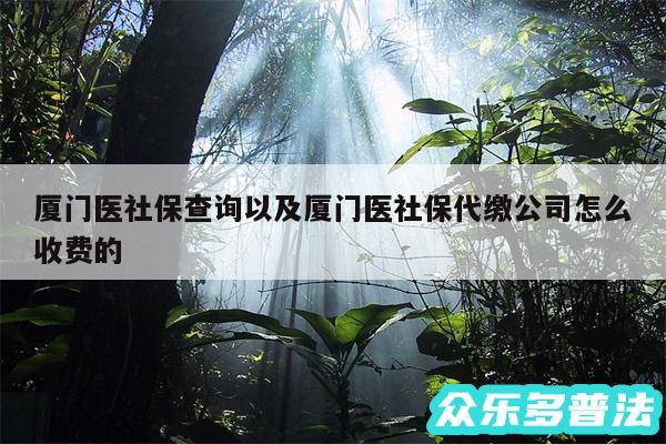 厦门医社保查询以及厦门医社保代缴公司怎么收费的