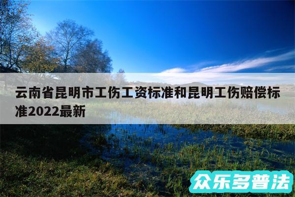 云南省昆明市工伤工资标准和昆明工伤赔偿标准2024最新