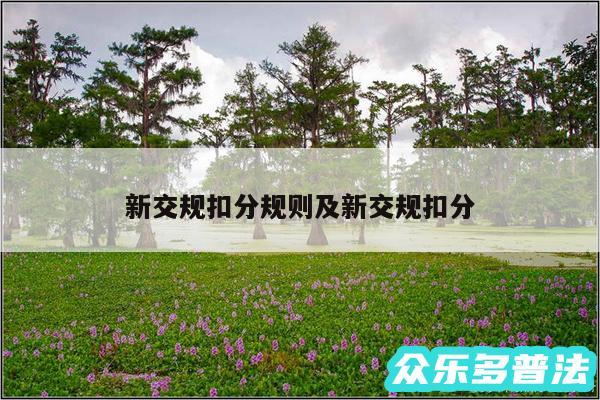新交规扣分规则及新交规扣分