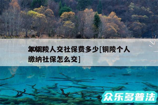 2024
年铜陵人交社保费多少及铜陵个人缴纳社保怎么交