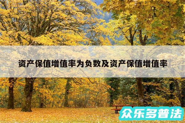 资产保值增值率为负数及资产保值增值率