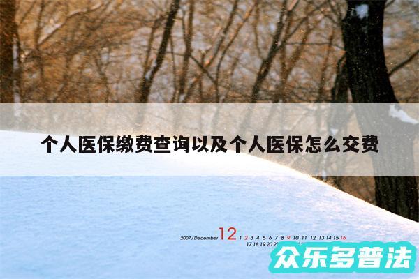 个人医保缴费查询以及个人医保怎么交费