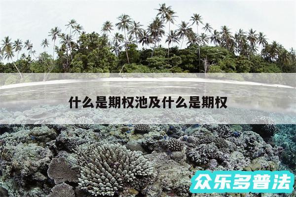 什么是期权池及什么是期权