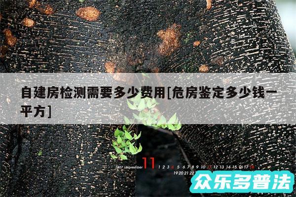 自建房检测需要多少费用及危房鉴定多少钱一平方