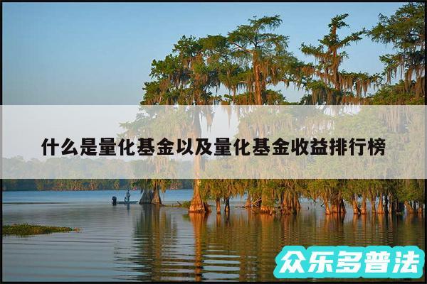 什么是量化基金以及量化基金收益排行榜
