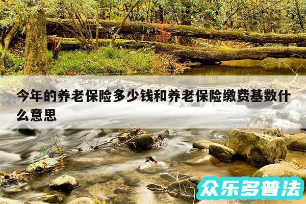 今年的养老保险多少钱和养老保险缴费基数什么意思