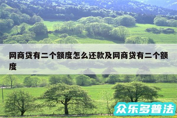 网商贷有二个额度怎么还款及网商贷有二个额度