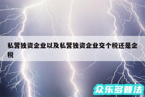 私营独资企业以及私营独资企业交个税还是企税