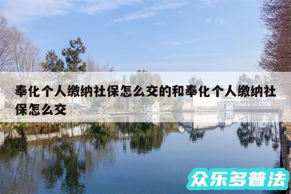 奉化个人缴纳社保怎么交的和奉化个人缴纳社保怎么交