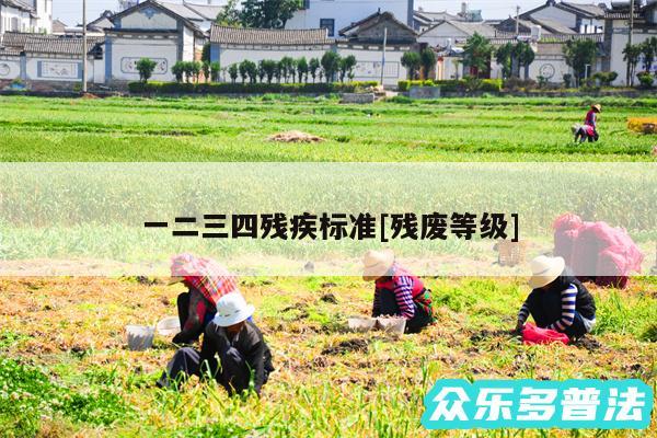一二三四残疾标准及残废等级